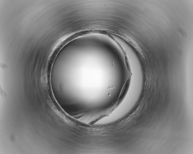 X0000090880784200708101344