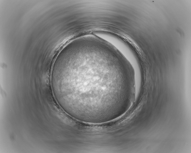 X0000090880785200708101344