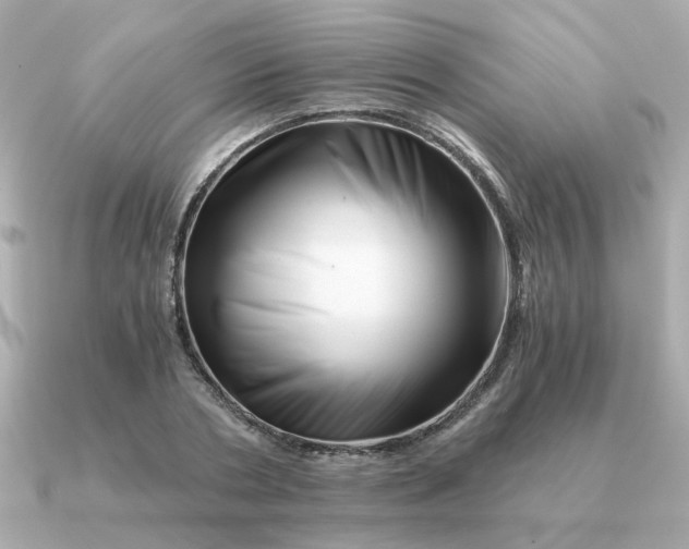 X0000090880786200708101344