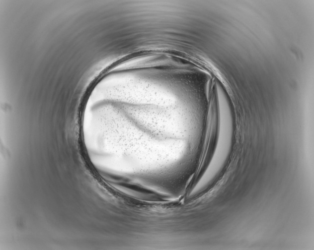 X0000090880787200708101344