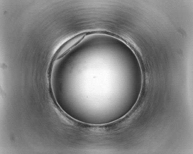 X0000090880789200708101344