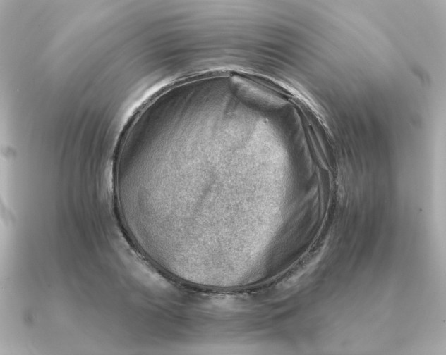 X0000090880790200708101344