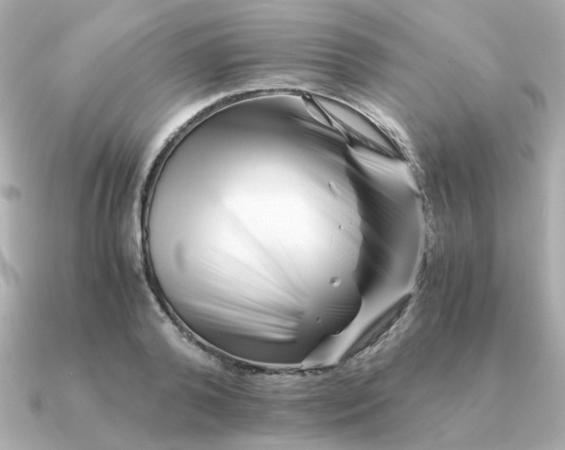 X0000090880792200708101344