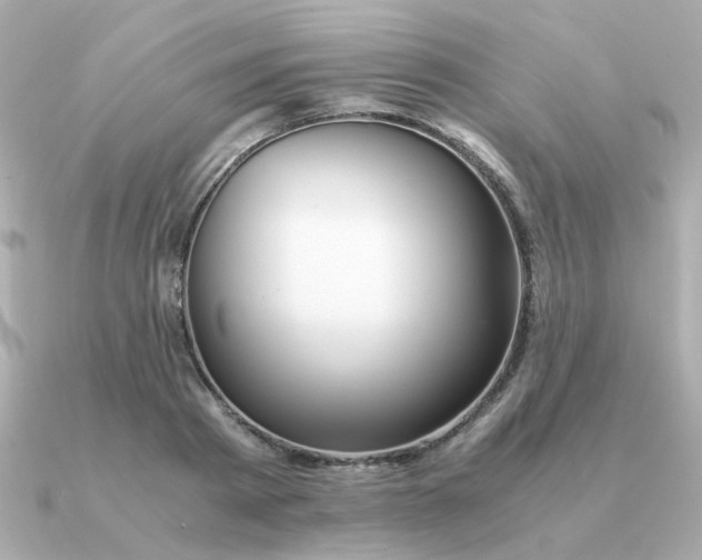 X0000090880793200708101344