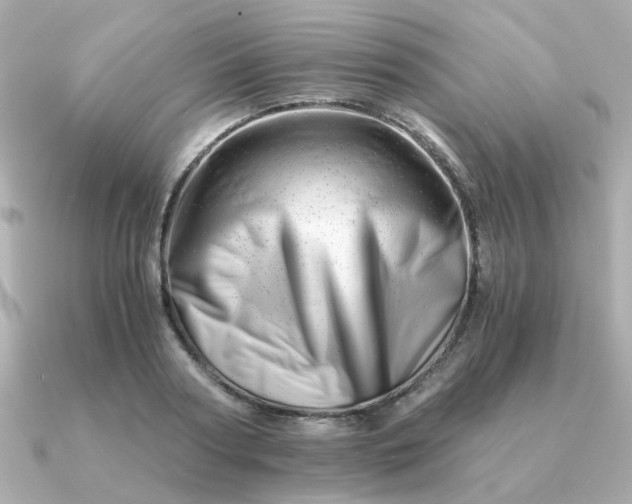 X0000090880794200708101344