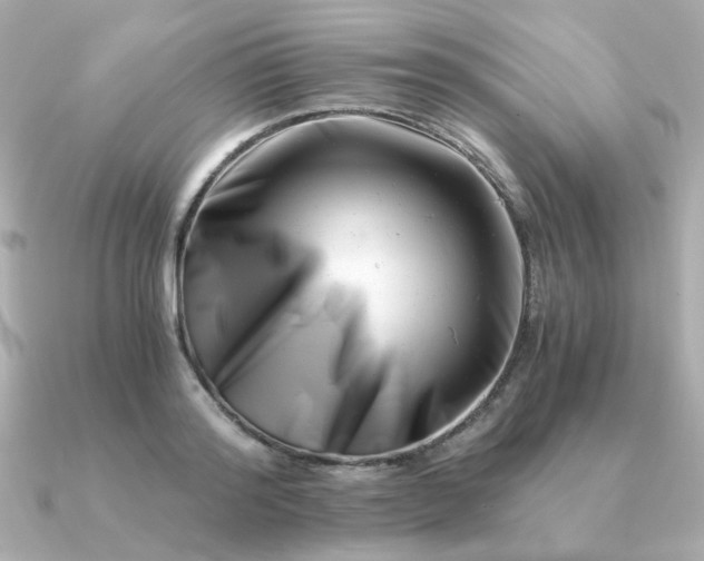 X0000090880796200708101344