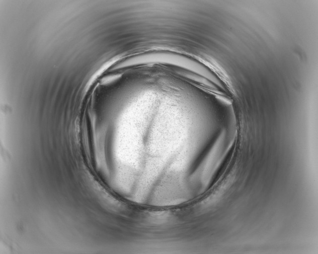 X0000090880798200708101343