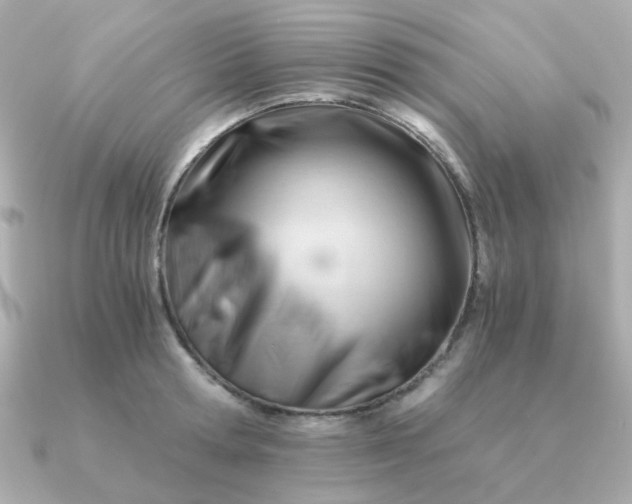 X0000090880802200708101343