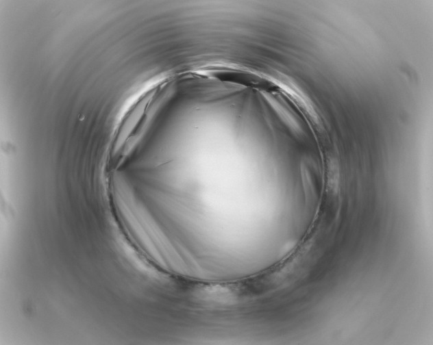 X0000090880806200708101343