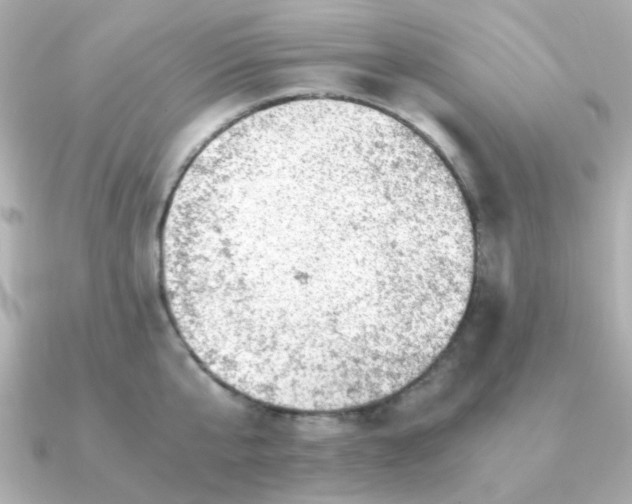 X0000090880807200708101343