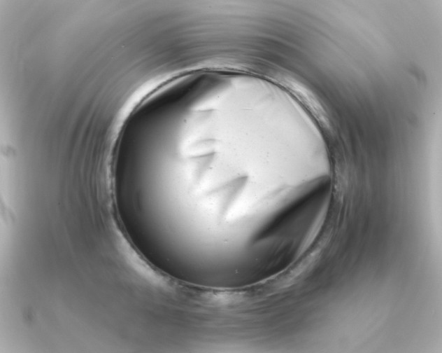 X0000090880808200708101343