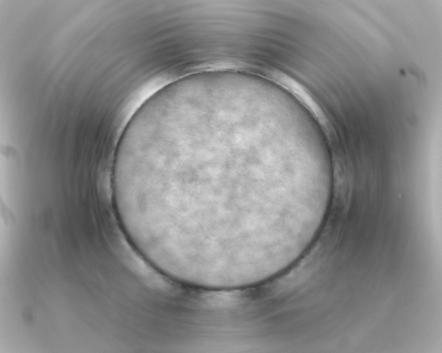 X0000090880810200708101343