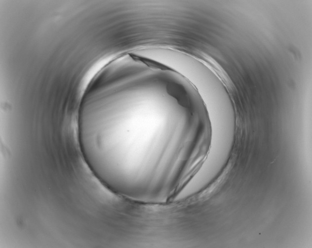 X0000090880812200708101343