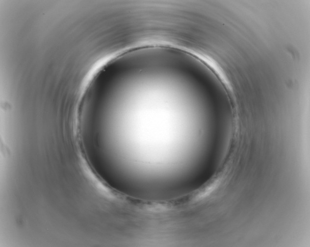 X0000090880815200708101343