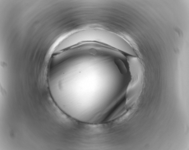 X0000090880816200708101343