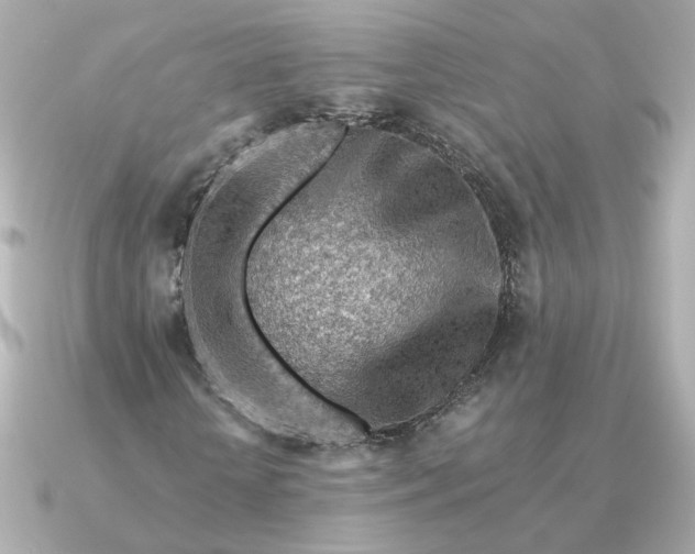 X0000090880818200708101343