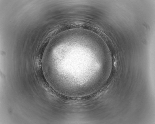 X0000090880819200708101343