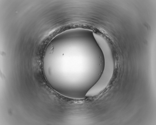 X0000090880822200708101343