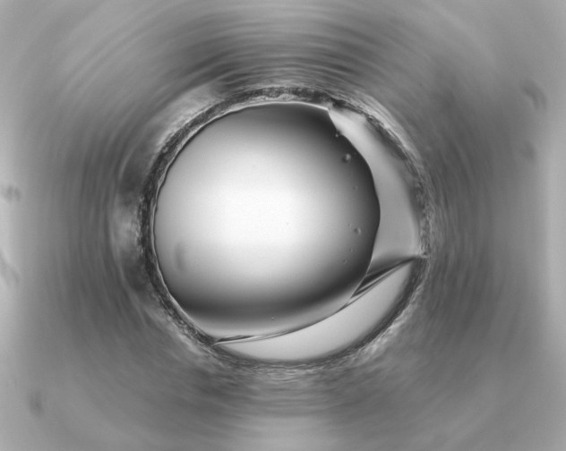 X0000090880826200708101343