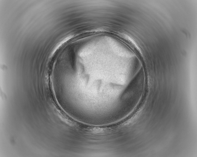 X0000090880827200708101343