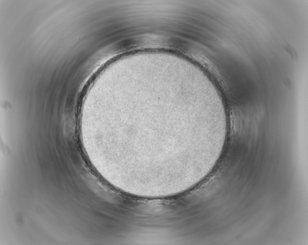 X0000090880828200708101343