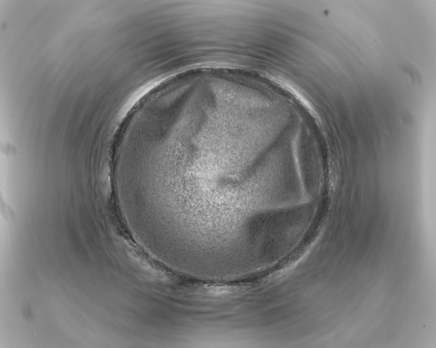 X0000090880829200708101343