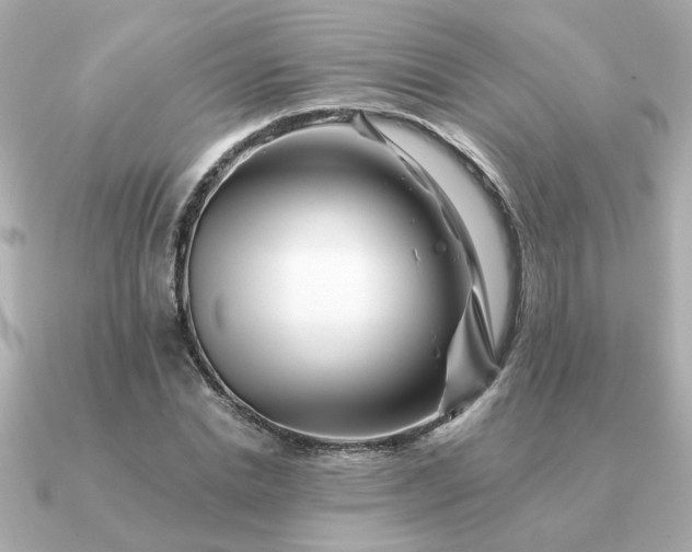 X0000090880830200708101343