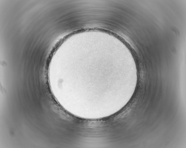 X0000090880832200708101343