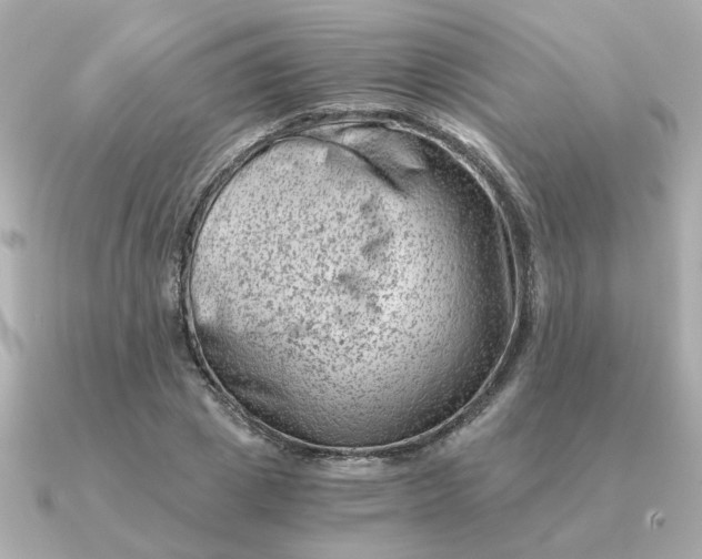 X0000090880833200708101343