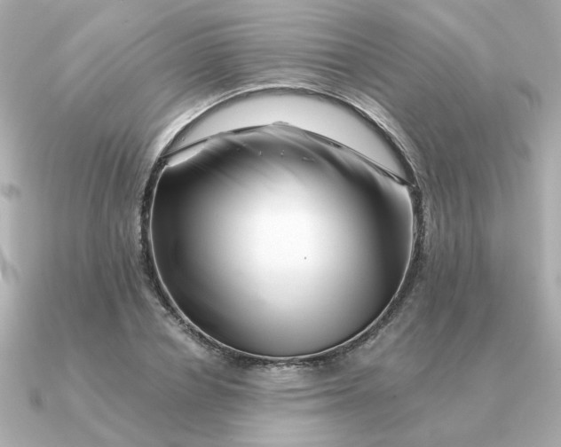 X0000090880834200708101343