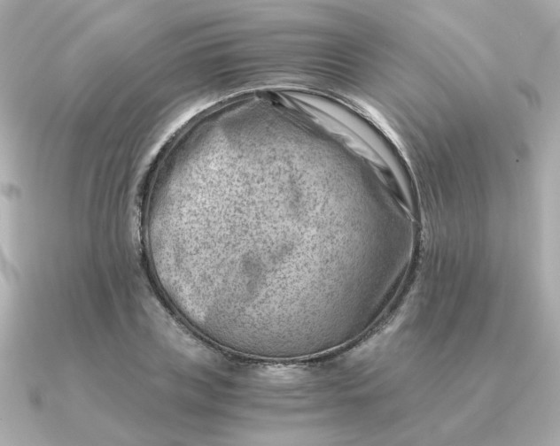 X0000090880835200708101343