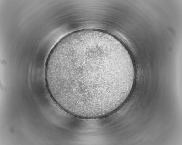 X0000090880836200708101343