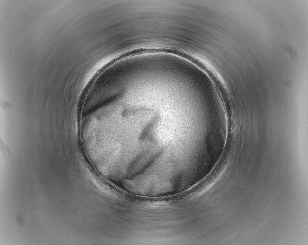 X0000090880837200708101343