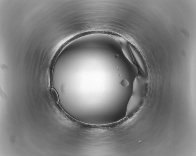 X0000090880838200708101343