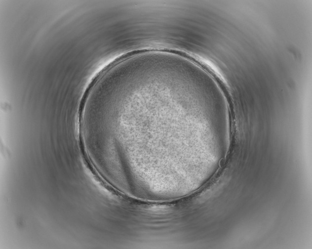 X0000090880839200708101343