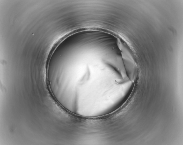 X0000090880840200708101343