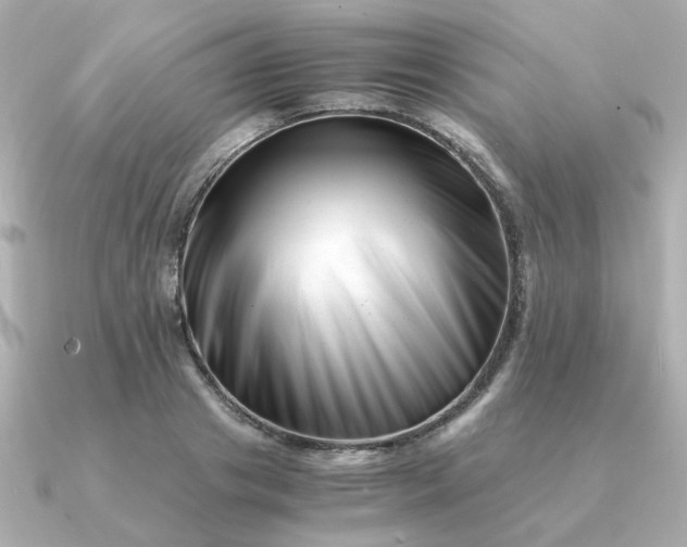 X0000090880841200708101343