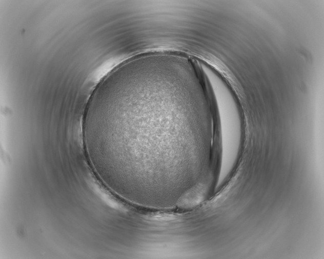 X0000090880842200708101343