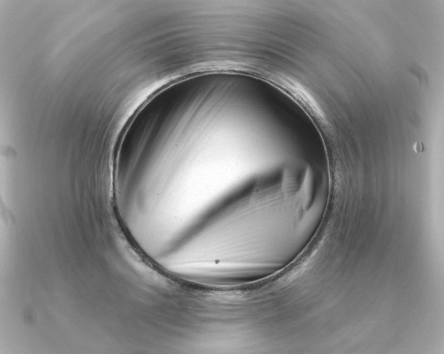 X0000090880844200708101343