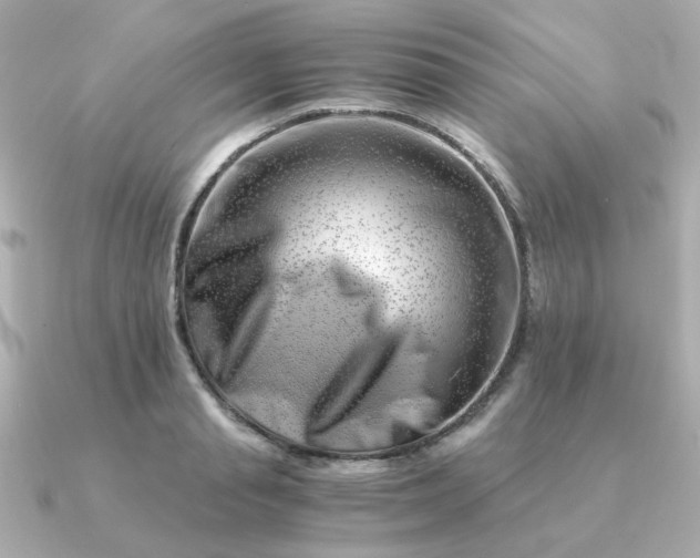 X0000090880845200708101343