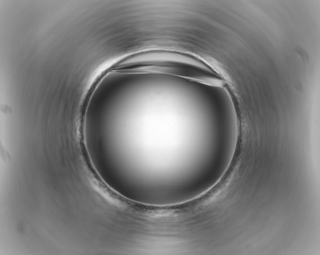 X0000090880846200708101343