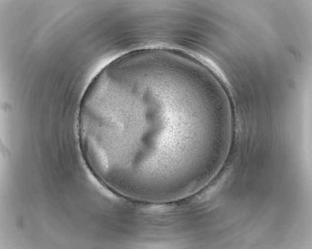 X0000090880847200708101343