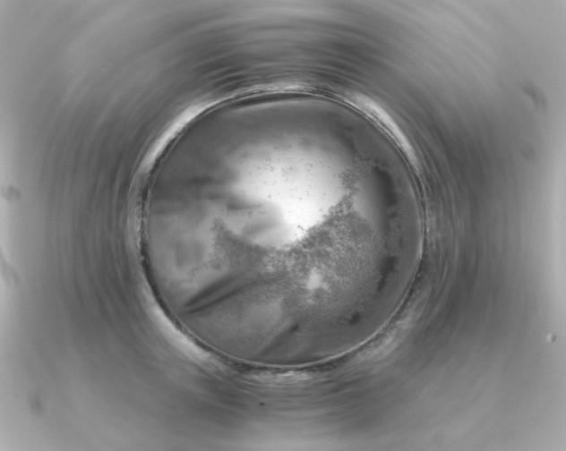 X0000090880851200708101343