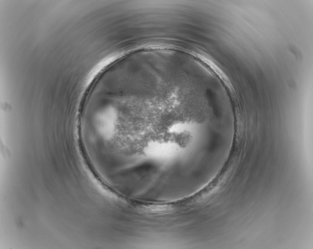 X0000090880853200708101343