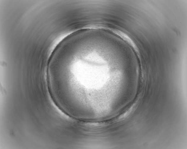 X0000090880855200708101343