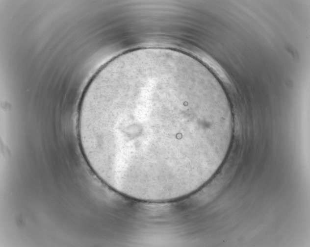 X0000090880856200708101343