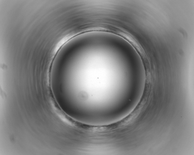 X0000090880858200708101343