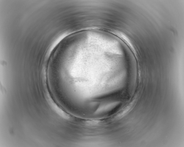 X0000090880859200708101343