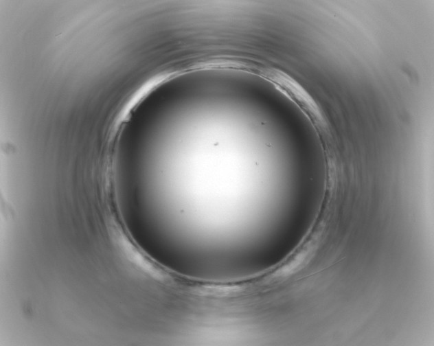 X0000090880860200708101343