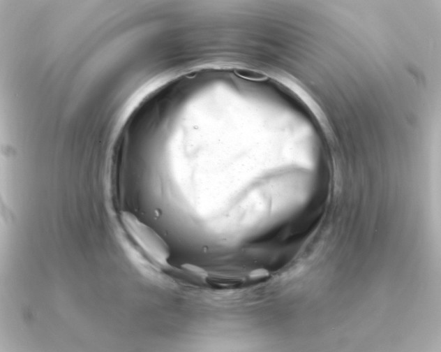 X0000090880861200708101343